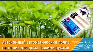 Автономный автоматический полив растений для дома и участка. 2 простых варианта. Своими руками.