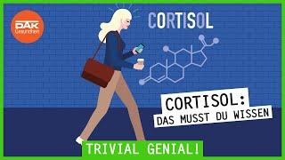 Cortisol: Das solltest du wissen musst | #trivialgenial | DAK-Gesundheit