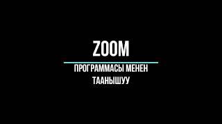 Zoom Программасы менен таанышуу