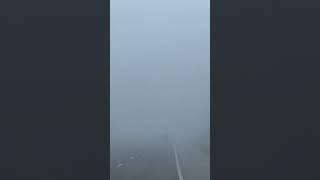 Fog in Kansas City, Missouri #2024 #christmas #new #shortvideo #shorts #travel #usa #america #video