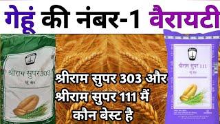 गेहूं बीज श्रीराम सुपर 303 और श्रीराम सुपर 111 में कौन  वैरायटी बेस्ट है।Best wheat variety 2022