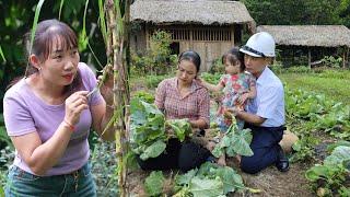 "The Crazy Witch Destroys The Vegetable Garden: Husband Decides To Protect His Wife To The End!"