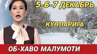 5-6-7 ДЕКАБРЬ КУНЛАРИ УЧУН ОБ ХАВО МАЛУМОТИ, ob havo.