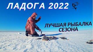 Лучшая рыбалка сезона 2021 2022 | Мы все-таки нашли голодного окуня