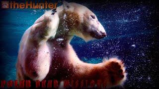  theHunter Classic  POLAR BEAR missions part 1  миссии на Полярного медведя 