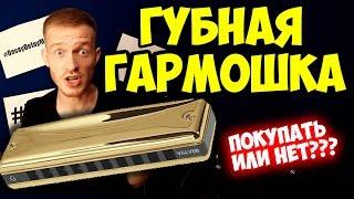 ГУБНАЯ ГАРМОШКА | ПОКУПАТЬ или НЕТ? | ГАРМОНИКА | DavayDelayMedia