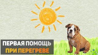 Первая помощь при перегреве