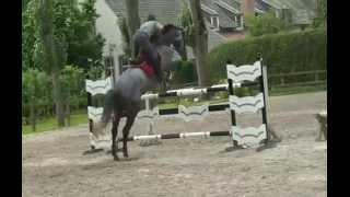 Indigo   James Peeters 5