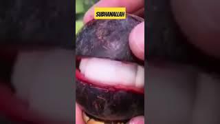 most unique fruits youve never heard of  #ytshorts #rarefruits