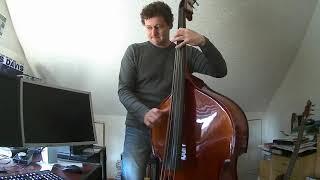 Beverly Hills Cop Main Theme on Upright Bass