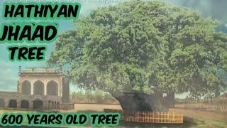 Hathiyan Jhaad (Baobab Tree)  600 years old tree || Naya qila