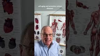 Does exercise help you and your cells live longer?
