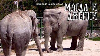 МАГДА И ДЖЕННИ. Звёзды театра и кино. Слоны."Тайган".