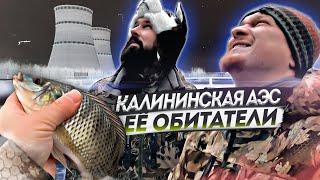 Калининская АЭС и ее обитатели. Тиляпия и Канальный сомик на Микроджиг