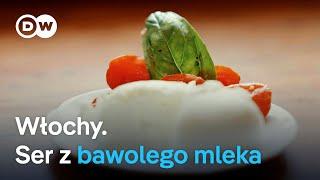 Włochy. Ser z bawolego mleka