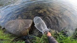 День РЫБАКА! РЫБАЛКА ПО ТРОФЕЙНОМУ ХАРИУСУ.часть первая..FISHER'S DAY! FISHING FOR TROPHY GRAYLING.1