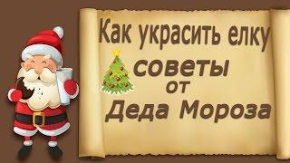 Как можно украсить елку к Новому году. Варианты дизайнерских решений.