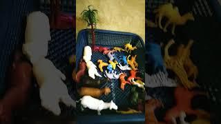 ASMR Cow Elephant Tiger Giraffe Rhinoceros Panda Lion || Animal Toys