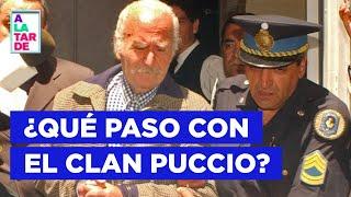 CLAN PUCCIO: LA HISTORIA SECRETA