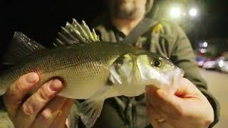 Lrf , light rock fishing UK,  Ultralight lure fishing.  Chris's Vlog episode 4