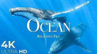 The Ocean (4K UltraHD)- Relaxation Film - Peaceful Relaxing Music - 4k Video UltraHD