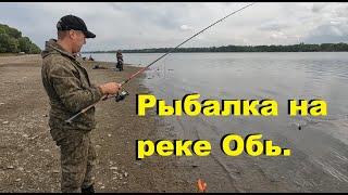 Рыбалка на реке Обь! Рыбалка на фидер !!!! Август - отличный клёв!!! Feeder fishing.