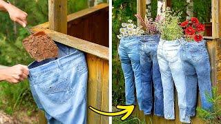 Upcycling Old Clothes into Garden Decor: Best Out of Waste Ideas for Plants 