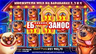 СОБАКИ ВЫДАЛИ ЗАНОС С САМОЙ ПЕРВОЙ БОНУСКИ!/ заносы недели