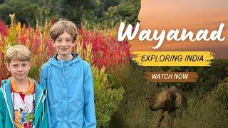 Foreigners Visit Wayanad Before Tragic Mudslide| Travel Vlog