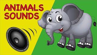 Animals Names With Sounds | Kids Learning Factory