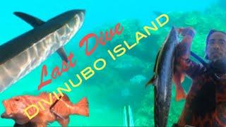 Salamat sa Blessings:Divinubo Island, Boronggan Eastern Samar:King Mack, Trout, Snapper, Surgeons,