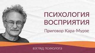 Приговор Владимиру Кара-Мурзе. Психология восприятия, психологии иллюзии, психология делюзии.