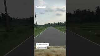 Soriyawewa  