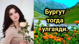 Бургут тогда улгаяди 6 ~ кисм.