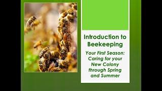 Your First Spring and Summer: Introduction to Beekeeping