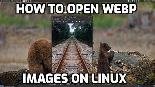 How To Open WebP Images on a Linux System