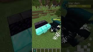 WARDEN MINECRAFT TEST #minecraft #shorts #mods #pvp #pve #test