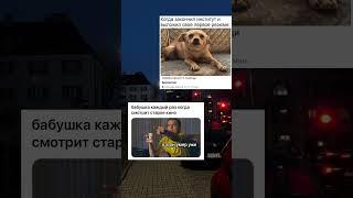 Еще больше мемов в моём тг:Tenfik (ава с бананом ) #2024 #memes #mellstroy #glavstroy #funny #chat