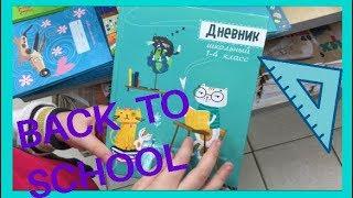 Выбираю ДНЕВНИК. BACK TO SCHOOL 2019 / Семейка Басиков и Мисс Фаина