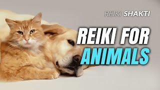 Reiki for Animals: Nurturing Healing Energy for Our Beloved Companions