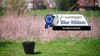 Gardener’s Blue Ribbon Bamboo Stakes