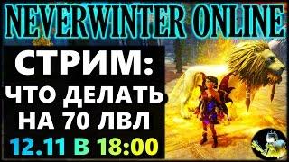 NEVERWINTER ONLINE - Что делать на 70 уровне