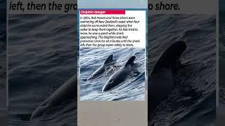 Dolphin Danger #animals #wildlife #fishing #wildliferescue