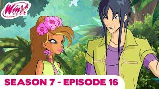 Winx Club - FULL EPISODE | Back To Paradise Bay | Season 7 Episode 16