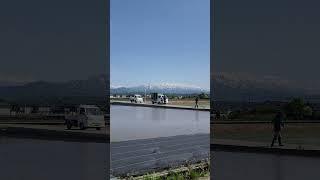 menanam padi #japan #sawah #toyama #fyp #shorts #viralvideo