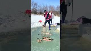 What The Good Unique Technical Fish Trap  Of Catching Lot Of Fish#shorts #viral #fishing