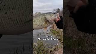 Order the Stupid Craw at ABitFishy Bait & Tackle.