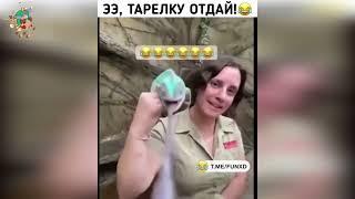 The Best Jokes #41 Лучшие приколы #41