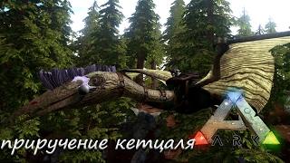 ARK Survival Evolved - Quetzal - как приручить кетцаля соло