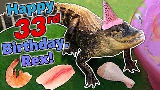 Giving our Alligator a Birthday Feast!